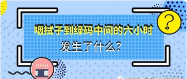 咽拭子到绿码中间的六小时，发生了什么？