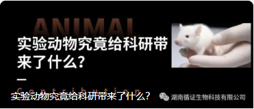 实验动物究竟给科研带来了什么？